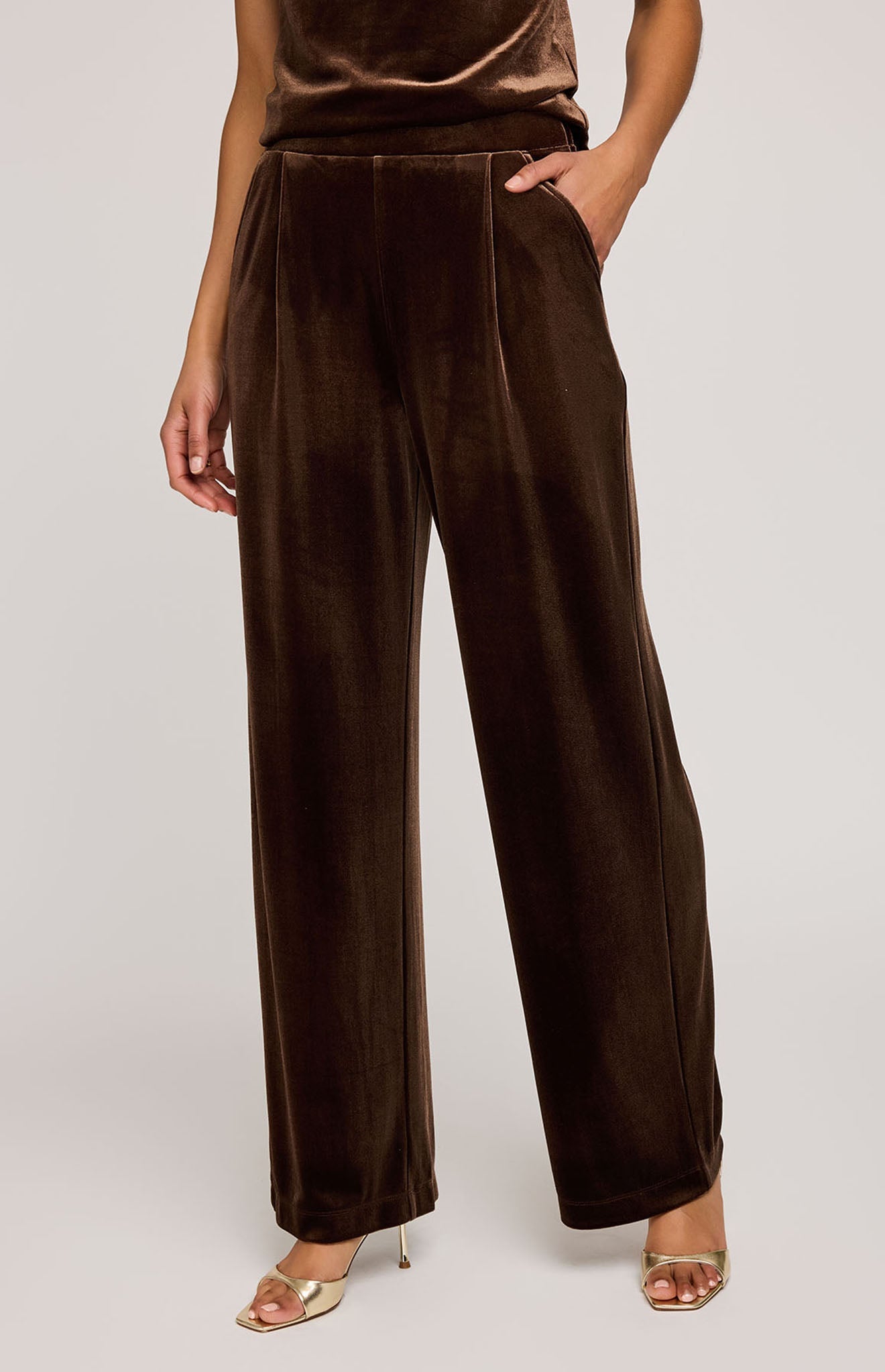 Sylvia Velvet Pant|Color:Ganache