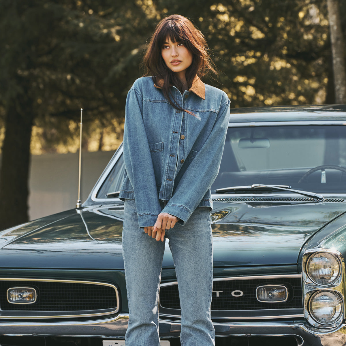 The Denim Collection